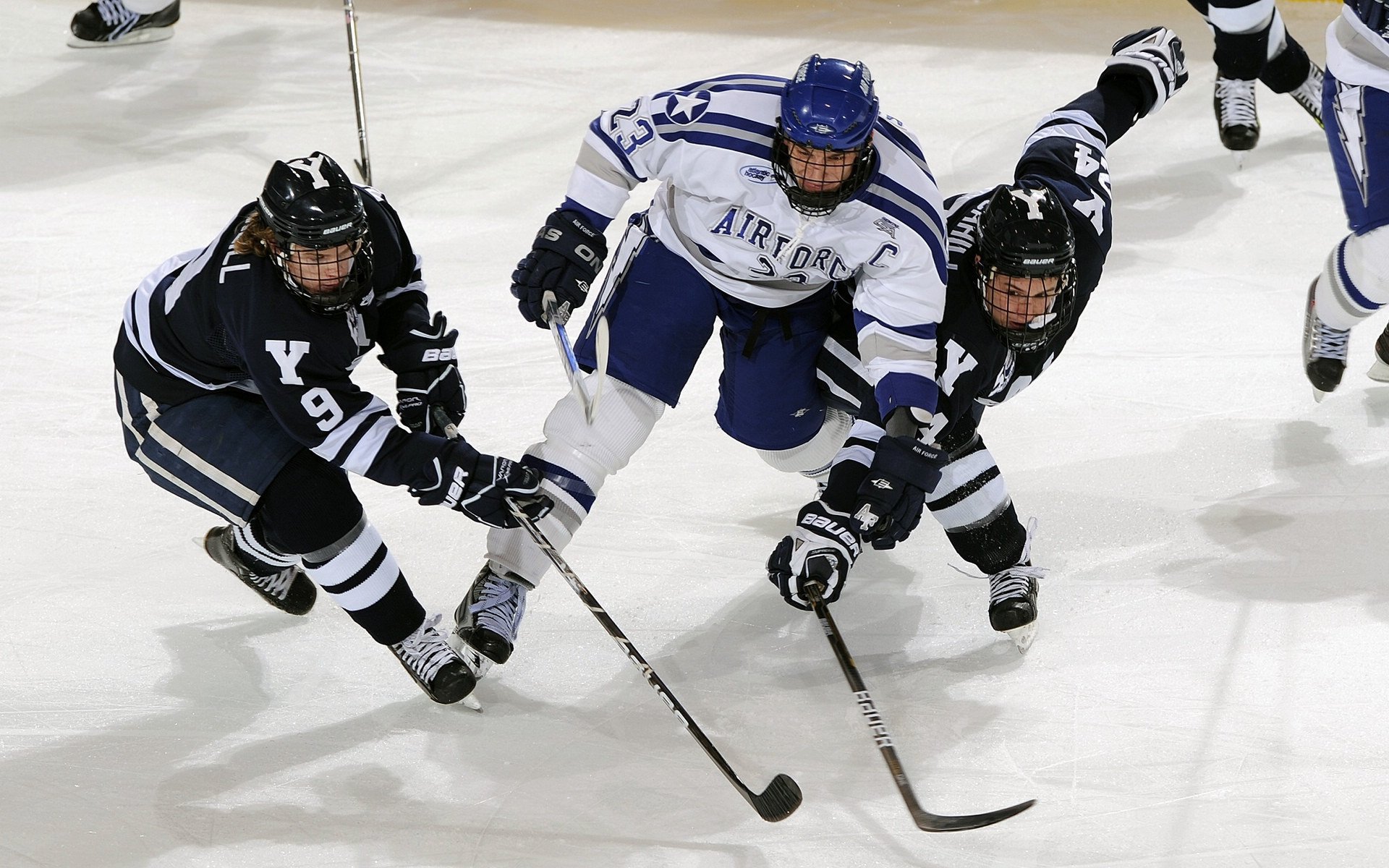 国际青少年篮球训练营结营赛 多位前职业球员现场指导